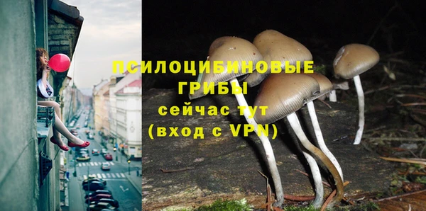 альфа пвп Семикаракорск