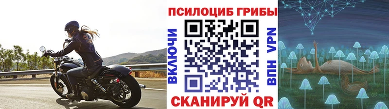 дарк нет как зайти  Чебаркуль  Псилоцибиновые грибы мицелий 