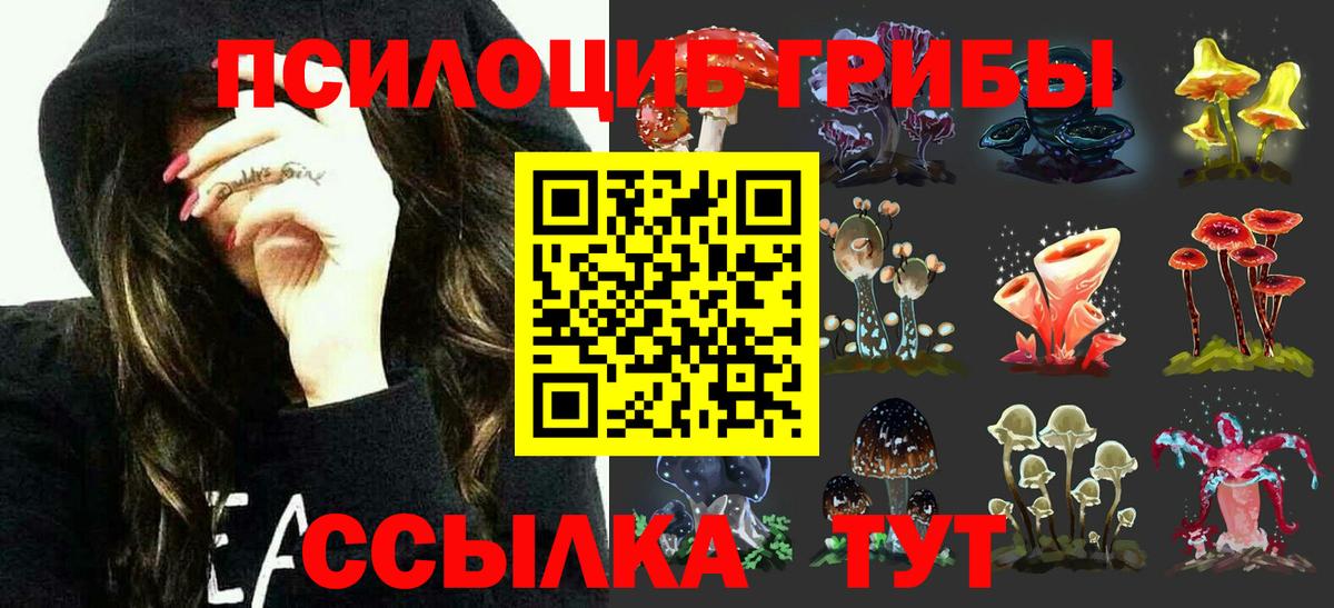Чебаркуль  Галлюциногенные грибы Psilocybine cubensis  Вход с VPN 